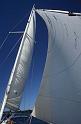 WT 0200 015-07 New Zealand Sailing Auckland Bay